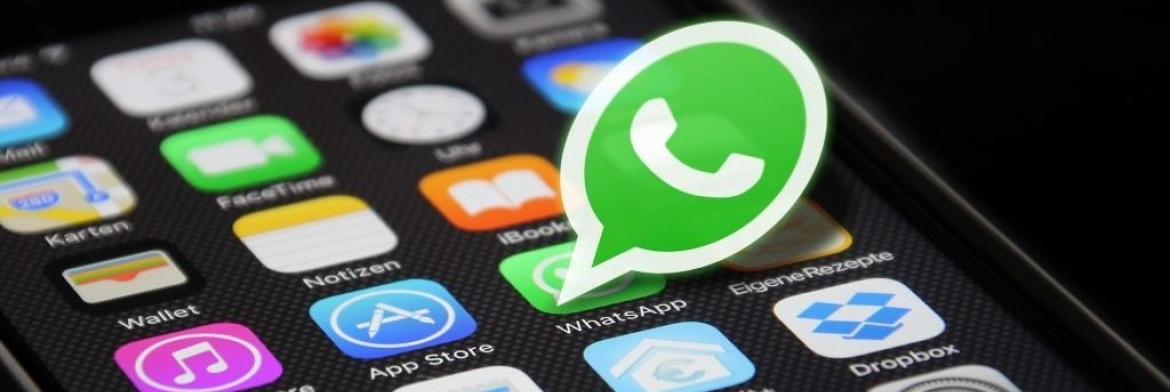 Canal de Whatsapp