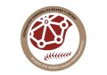 FEDERACIÓN NAVARRA DE BEISBOL Y SOFBOL