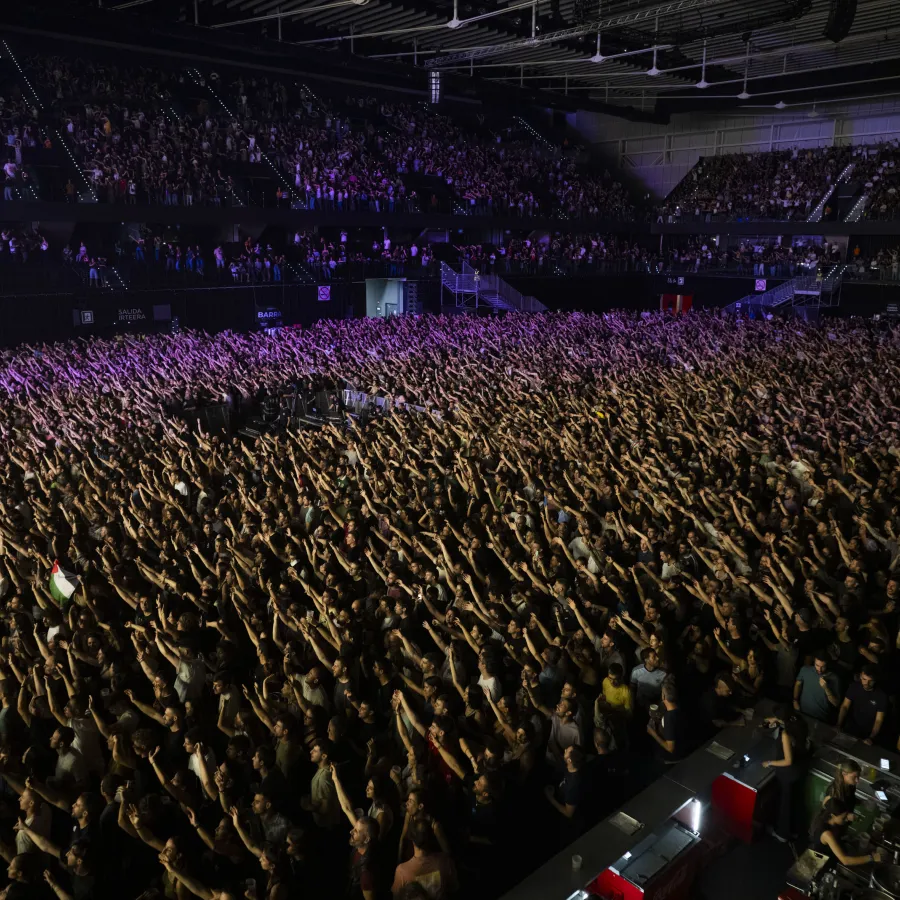 Concierto de La Raiz