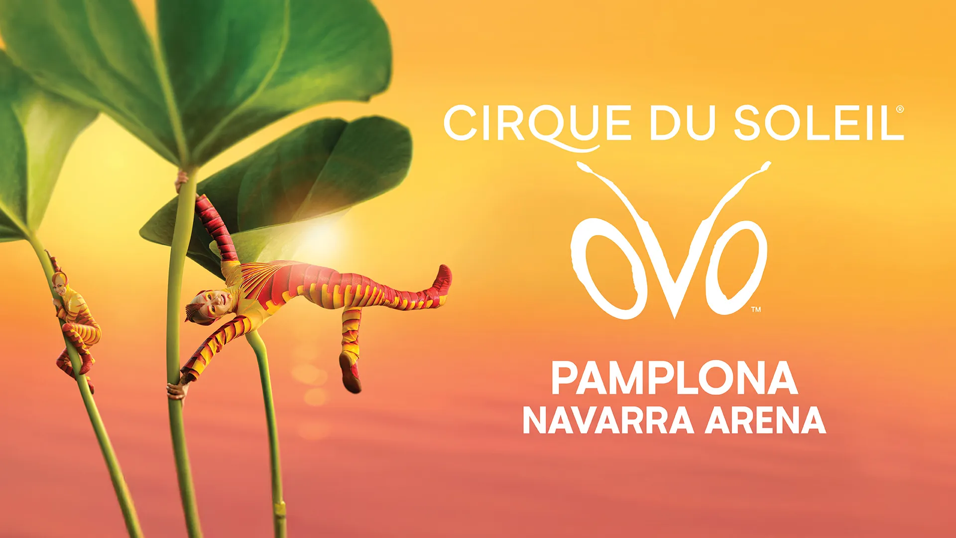 OVO Pamplona Cirque du Soleil
